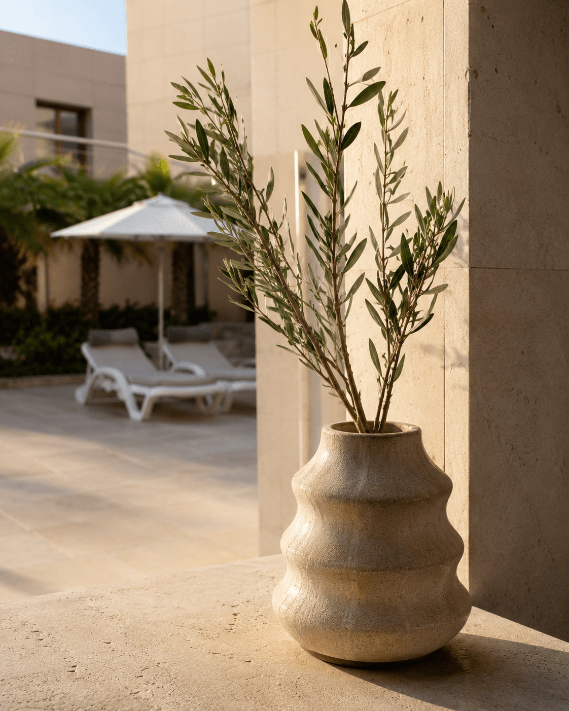 Detalle ambiental del Patio del Quinto Centenario con vasija y olivo.